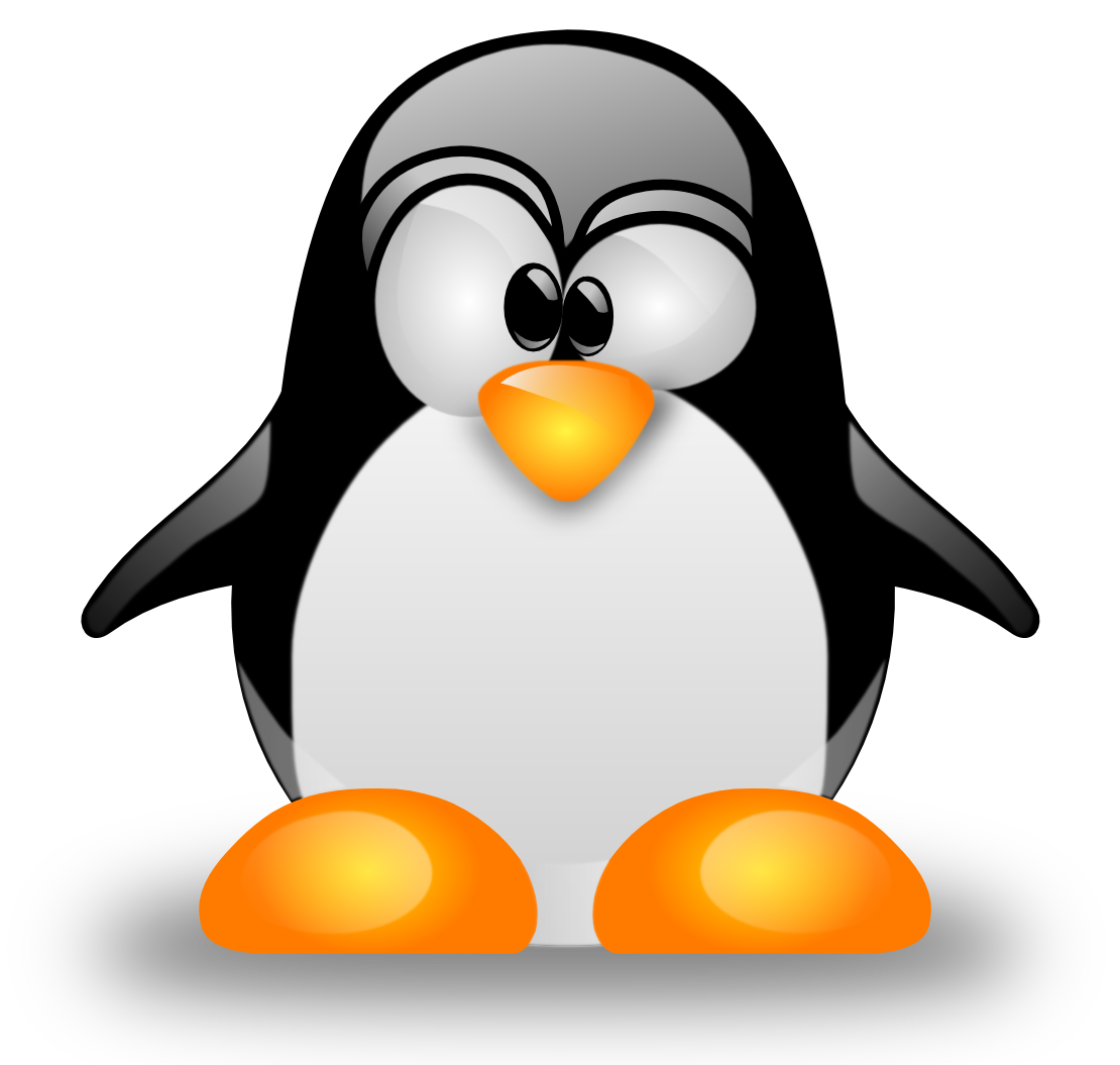 Learn a bit about Linux, its filesystem, basic and advanced commands every hacker should know
